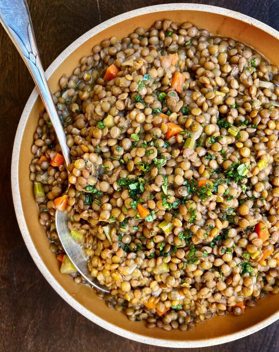 Variegated Lentils: Greatness in Simplicity